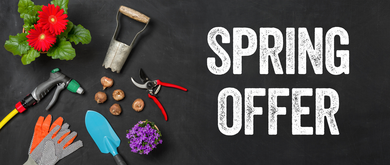 Garden tools on a dark background - Spring offer
